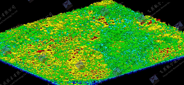 飛燕遙感激光點云成果林業CHM(1).jpg